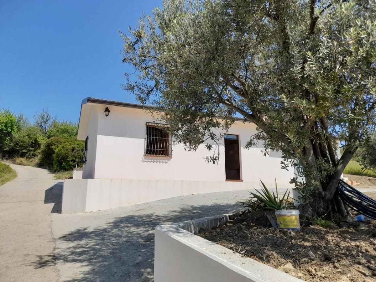 Villa Paradiso Montegiordano Exteriör bild